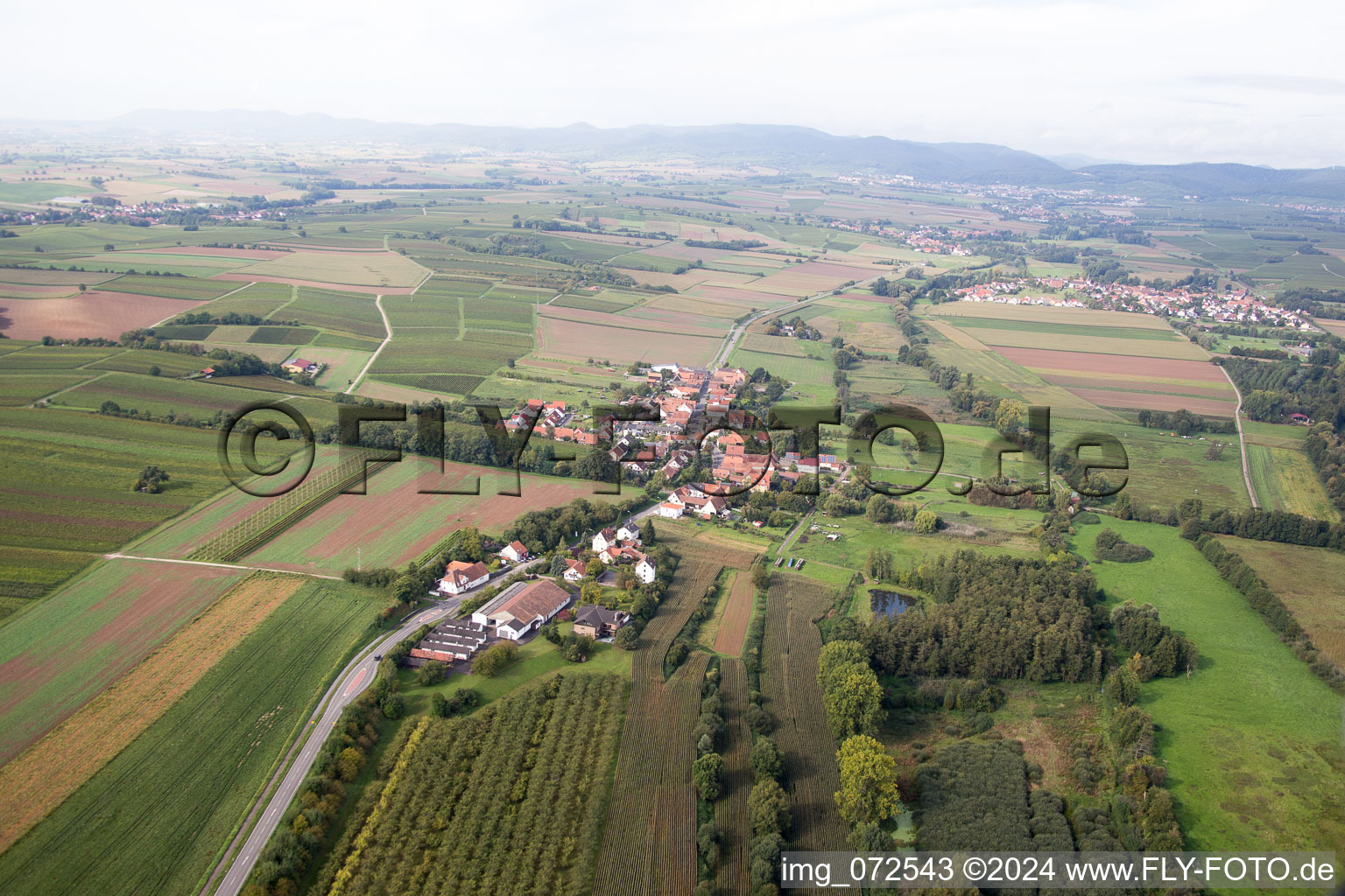 Vue aérienne de Hergersweiler dans le département Rhénanie-Palatinat, Allemagne