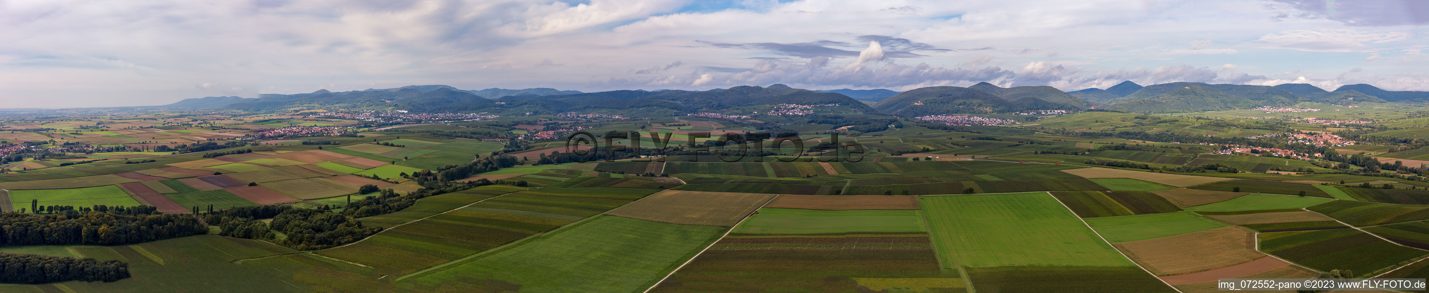 Vue aérienne de Panorama Horbachtal et Hardt à le quartier Ingenheim in Billigheim-Ingenheim dans le département Rhénanie-Palatinat, Allemagne