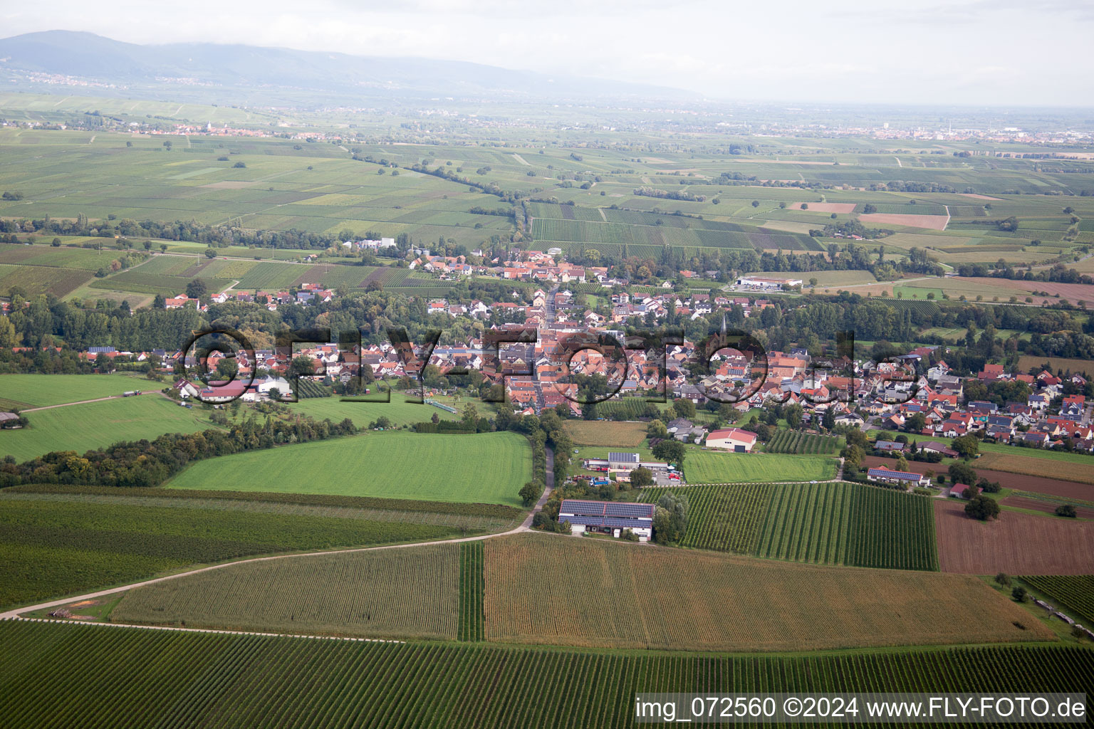 Vue aérienne de Quartier Ingenheim in Billigheim-Ingenheim dans le département Rhénanie-Palatinat, Allemagne