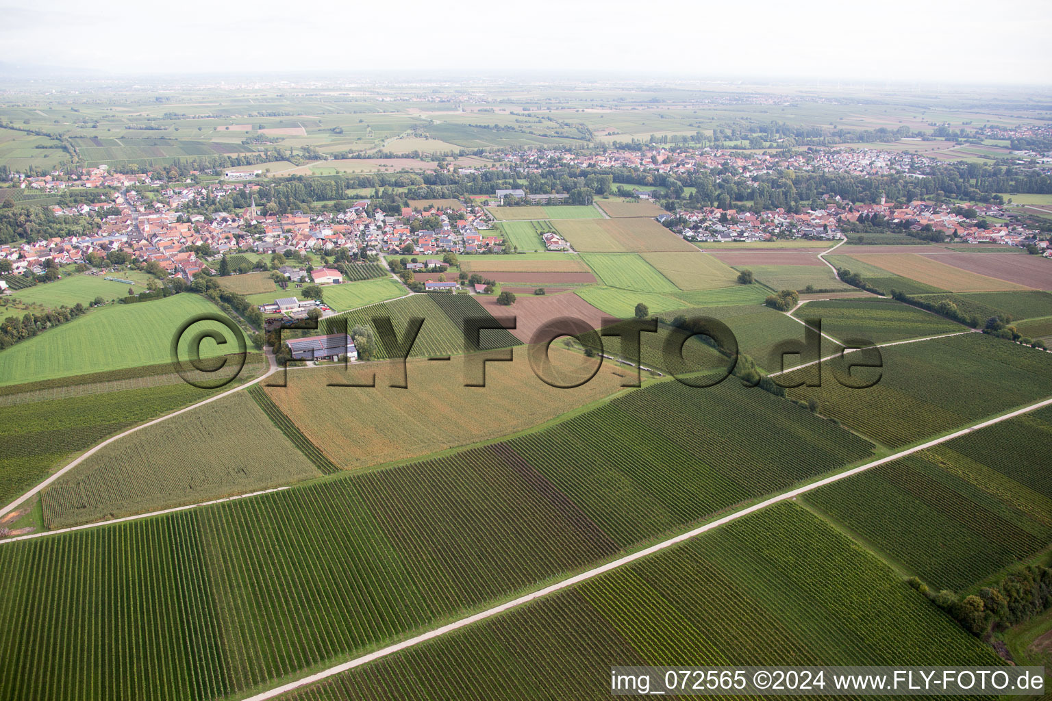 Photographie aérienne de Quartier Ingenheim in Billigheim-Ingenheim dans le département Rhénanie-Palatinat, Allemagne