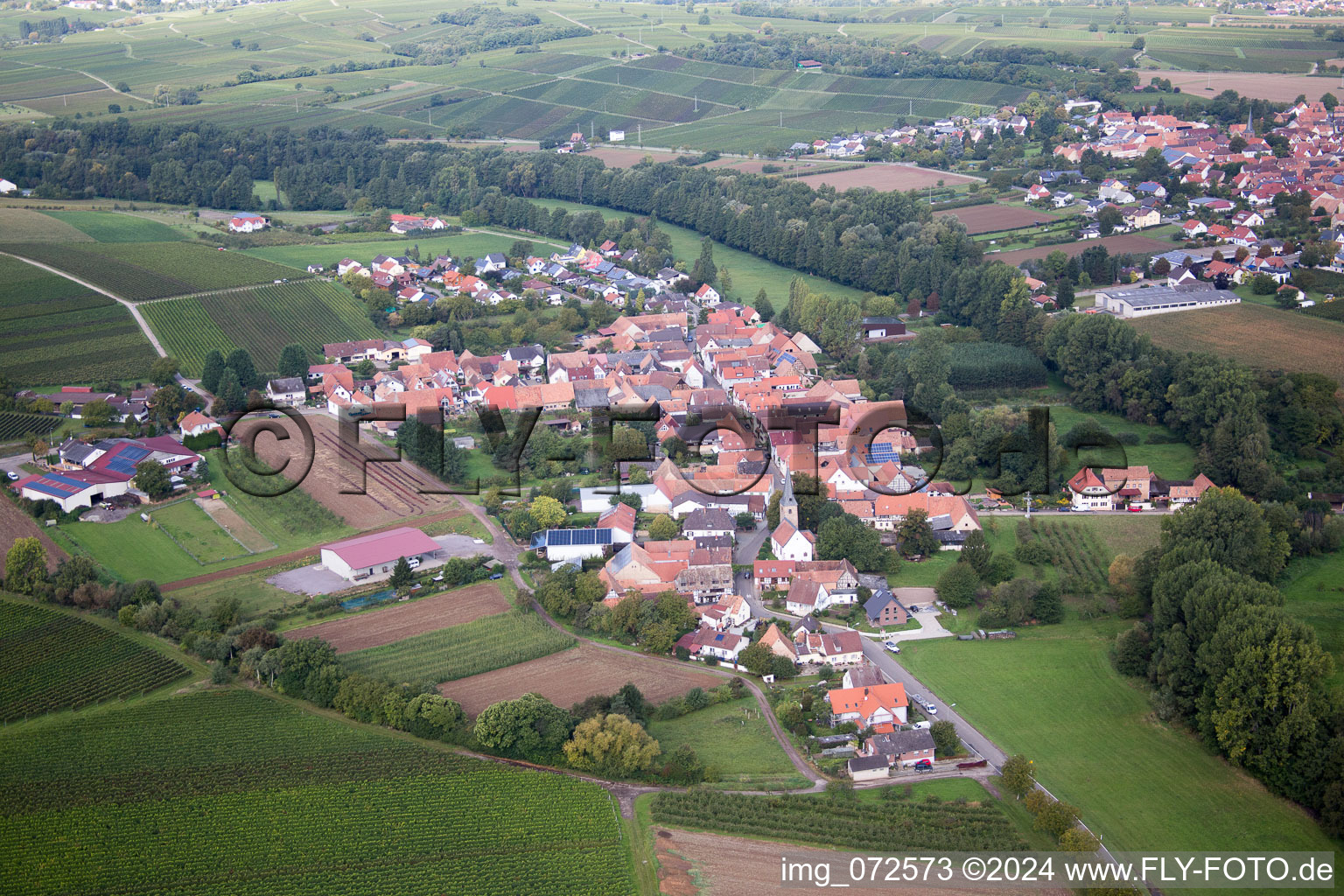 Photographie aérienne de Quartier Klingen in Heuchelheim-Klingen dans le département Rhénanie-Palatinat, Allemagne