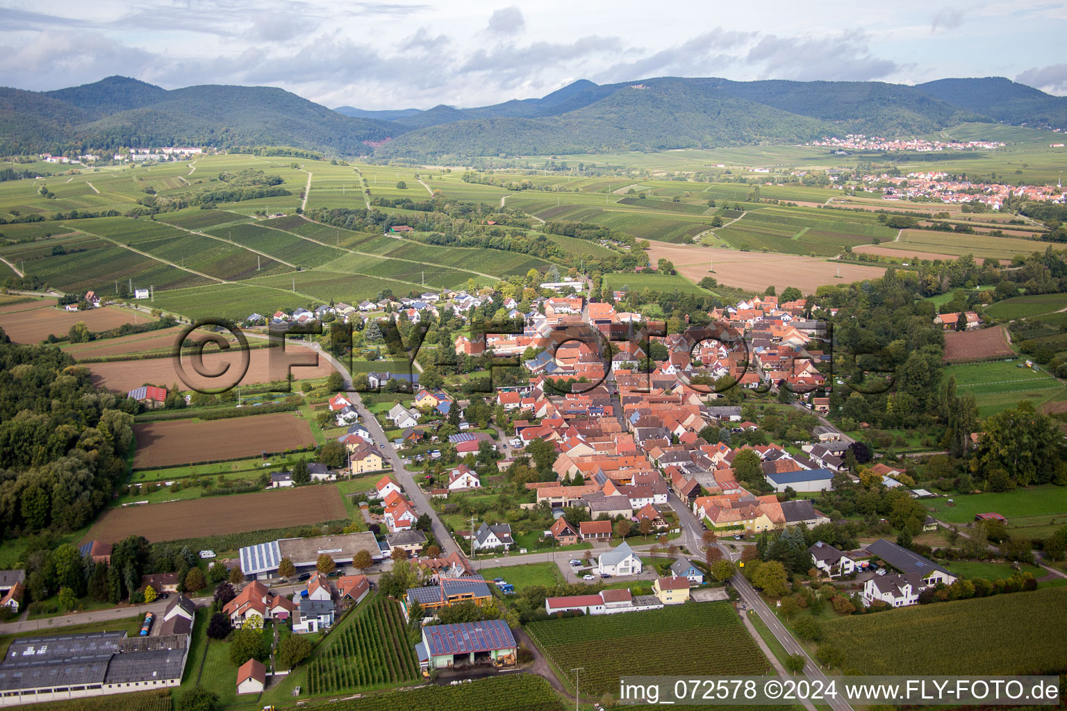 Vue aérienne de Champs et vignobles avec en toile de fond le Haardtrand de la forêt du Palatinat à le quartier Heuchelheim in Heuchelheim-Klingen dans le département Rhénanie-Palatinat, Allemagne