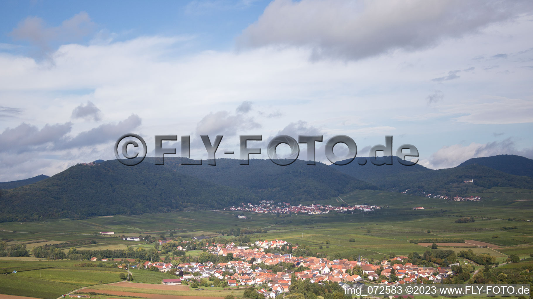 Vue aérienne de Göcklingen dans le département Rhénanie-Palatinat, Allemagne