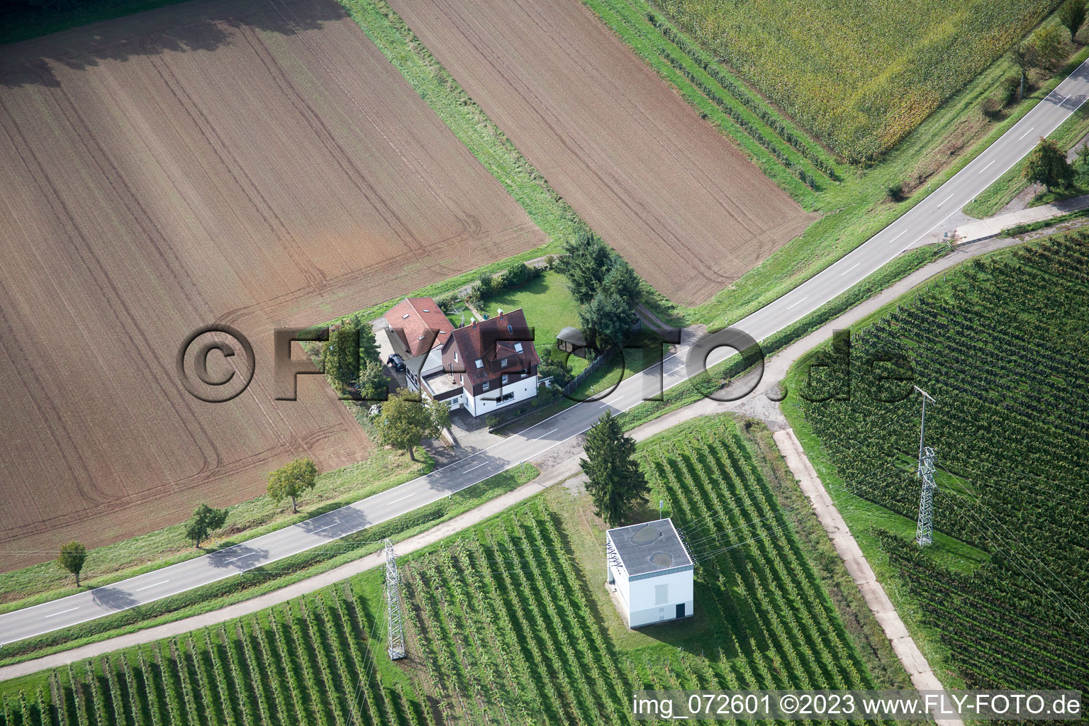 Vue aérienne de Route forestière à le quartier Heuchelheim in Heuchelheim-Klingen dans le département Rhénanie-Palatinat, Allemagne