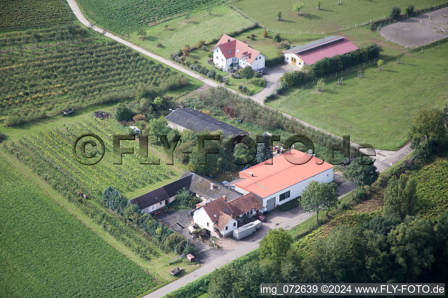 Vue aérienne de Sur la Münsterweg à le quartier Klingen in Heuchelheim-Klingen dans le département Rhénanie-Palatinat, Allemagne