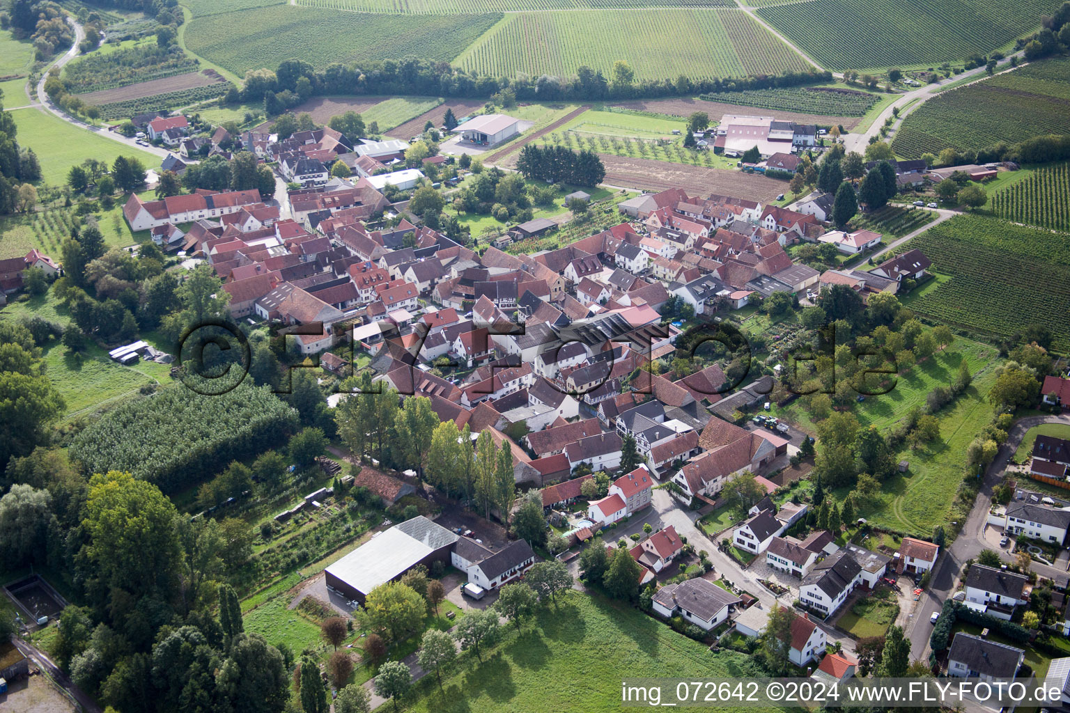 Quartier Klingen in Heuchelheim-Klingen dans le département Rhénanie-Palatinat, Allemagne vue d'en haut