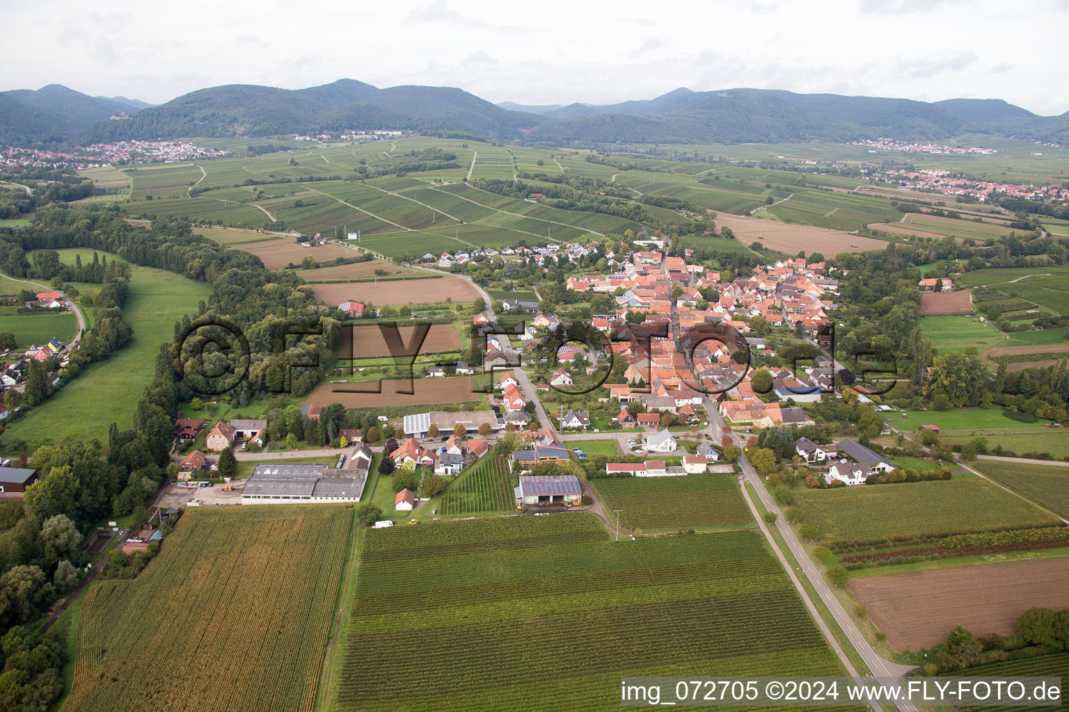 Photographie aérienne de Quartier Klingen in Heuchelheim-Klingen dans le département Rhénanie-Palatinat, Allemagne