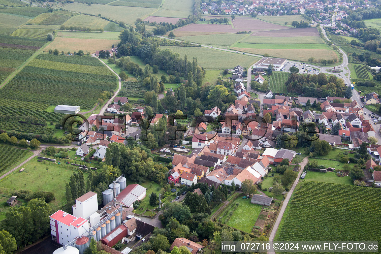 Vue aérienne de Quartier Appenhofen in Billigheim-Ingenheim dans le département Rhénanie-Palatinat, Allemagne