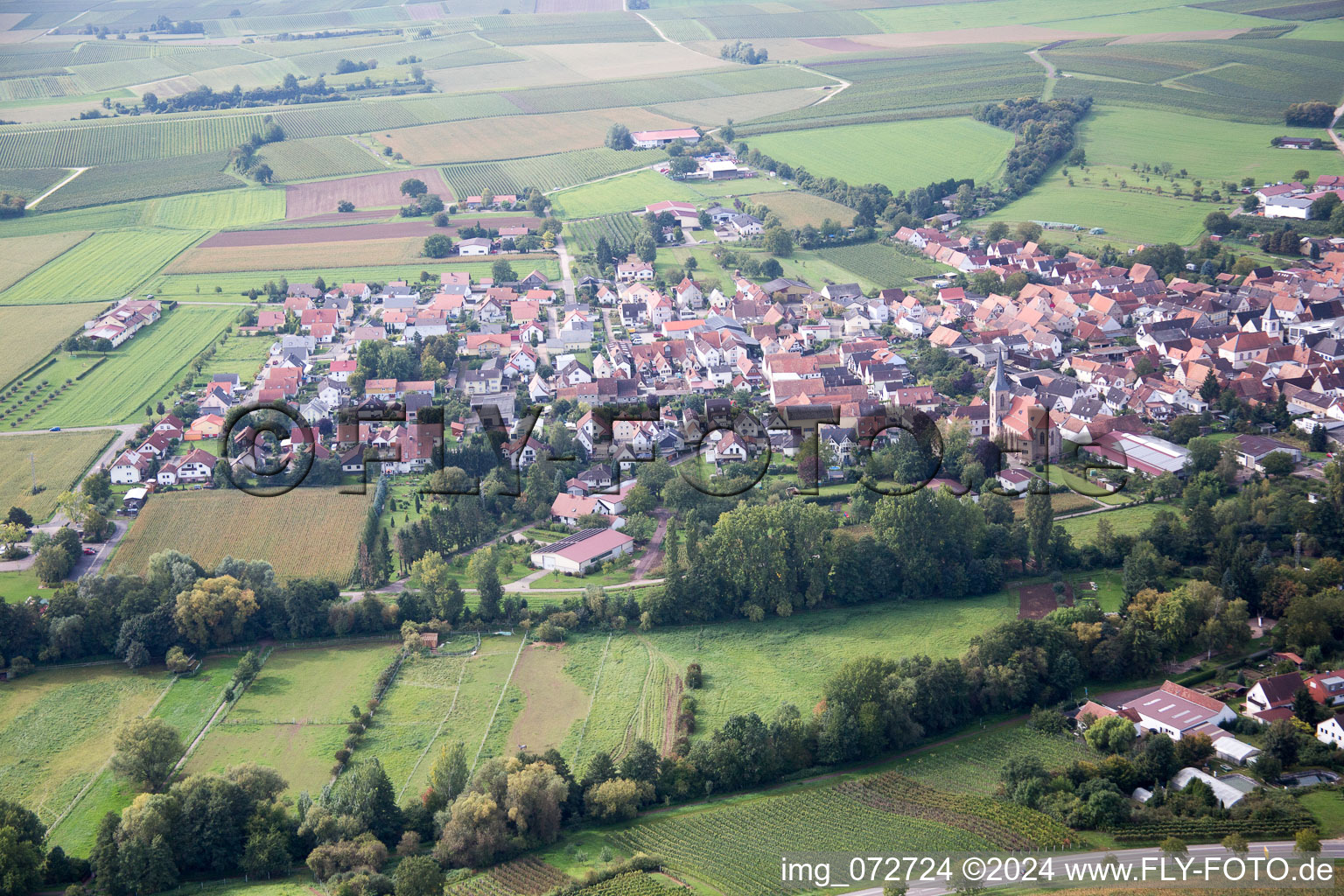 Vue aérienne de Quartier Billigheim in Billigheim-Ingenheim dans le département Rhénanie-Palatinat, Allemagne