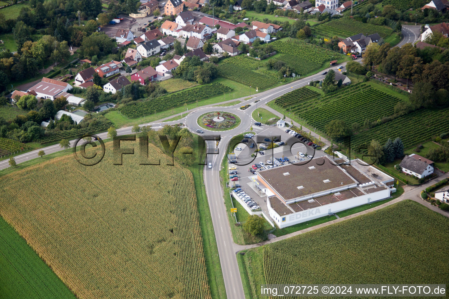 Quartier Appenhofen in Billigheim-Ingenheim dans le département Rhénanie-Palatinat, Allemagne hors des airs