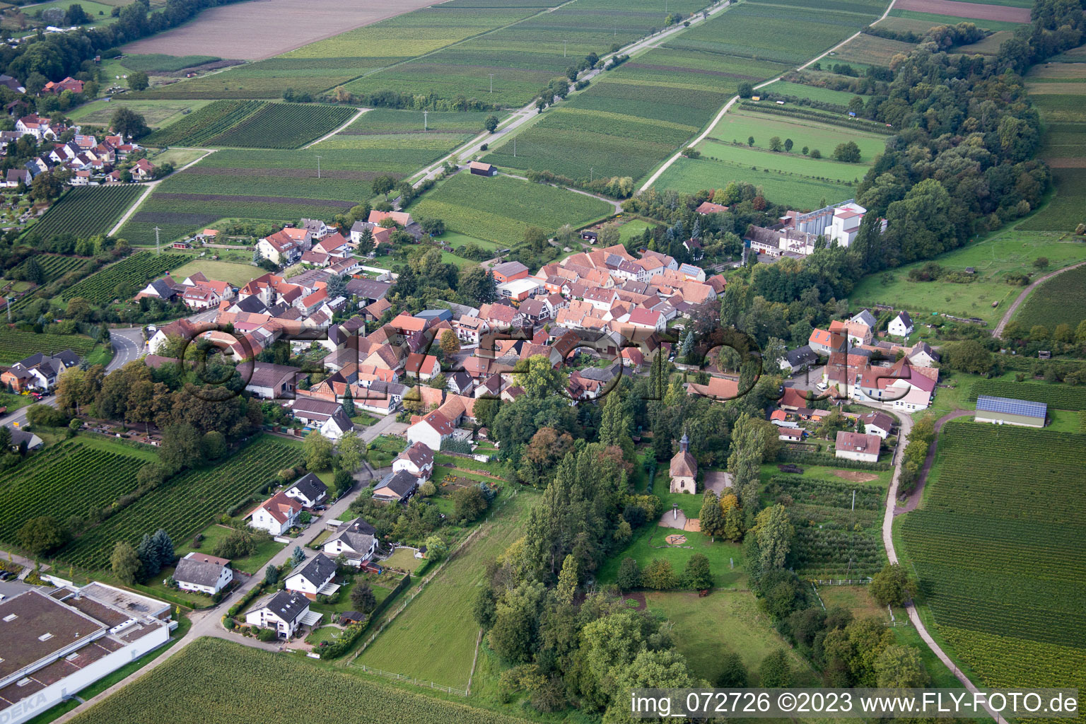 Quartier Appenhofen in Billigheim-Ingenheim dans le département Rhénanie-Palatinat, Allemagne vue d'en haut