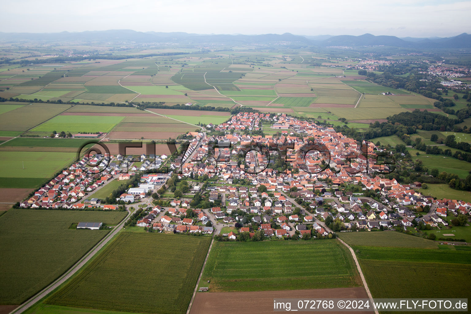 Steinweiler dans le département Rhénanie-Palatinat, Allemagne vue d'en haut