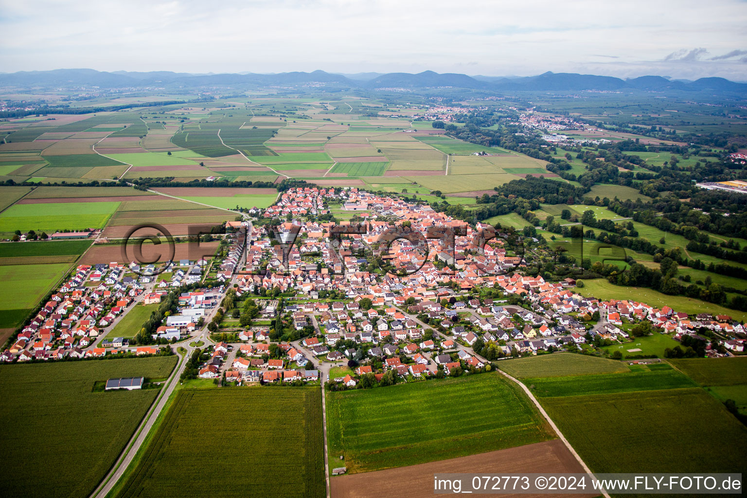 Vue aérienne de De l'est à Steinweiler dans le département Rhénanie-Palatinat, Allemagne