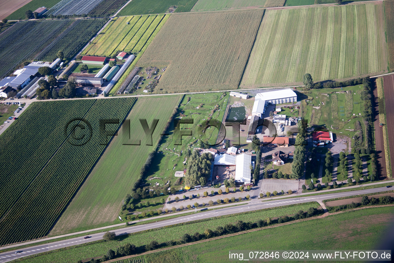 Vue aérienne de Golf à pied Adamshof à Kandel dans le département Rhénanie-Palatinat, Allemagne