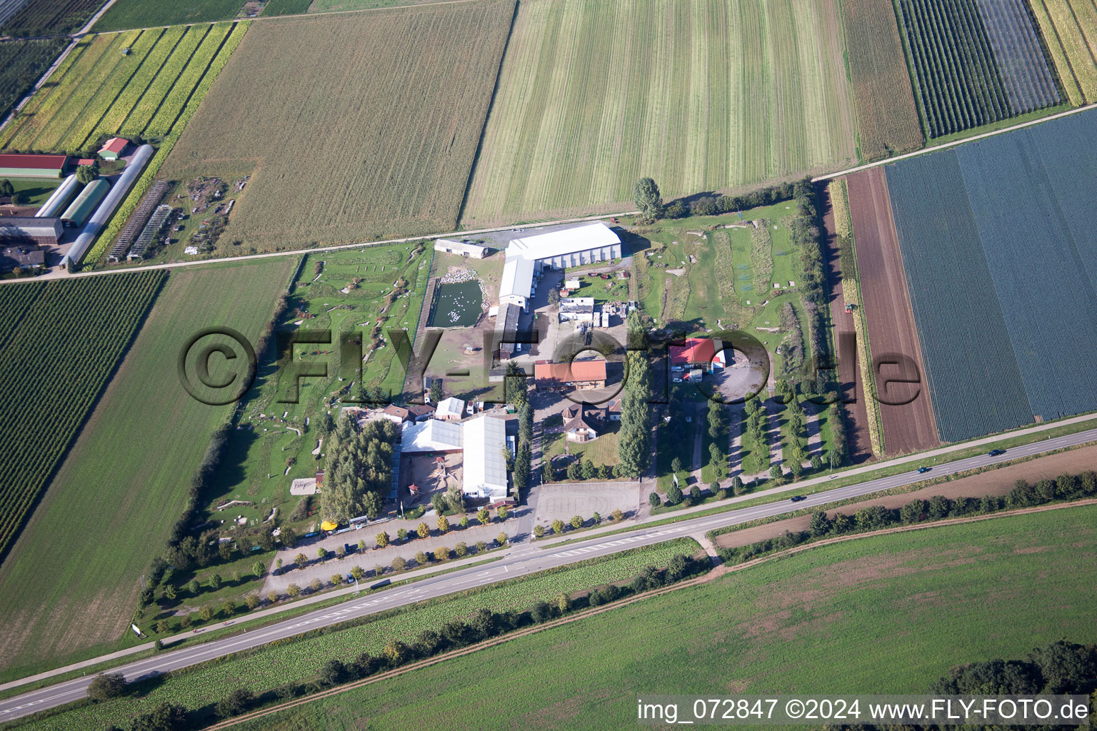 Vue aérienne de Golf à pied Adamshof à Kandel dans le département Rhénanie-Palatinat, Allemagne