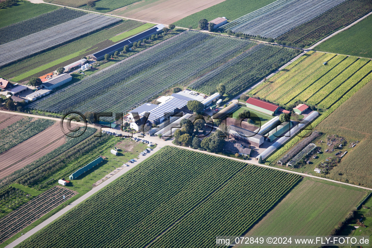 Vue aérienne de Ferme fruitière Zapf à Kandel dans le département Rhénanie-Palatinat, Allemagne