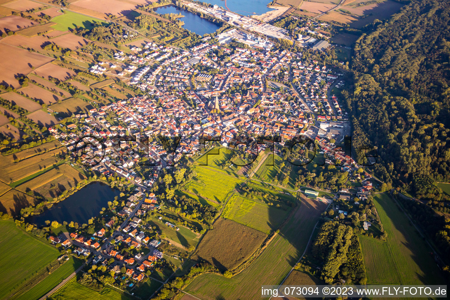 Vue aérienne de Du nord-ouest à le quartier Rheinsheim in Philippsburg dans le département Bade-Wurtemberg, Allemagne