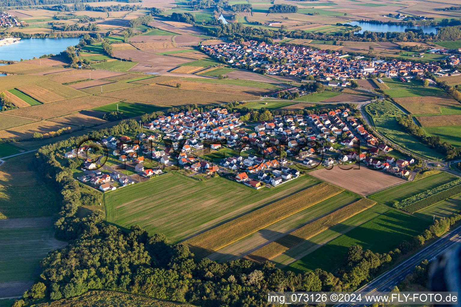 Vue aérienne de Quartier Hardtwald in Neupotz dans le département Rhénanie-Palatinat, Allemagne