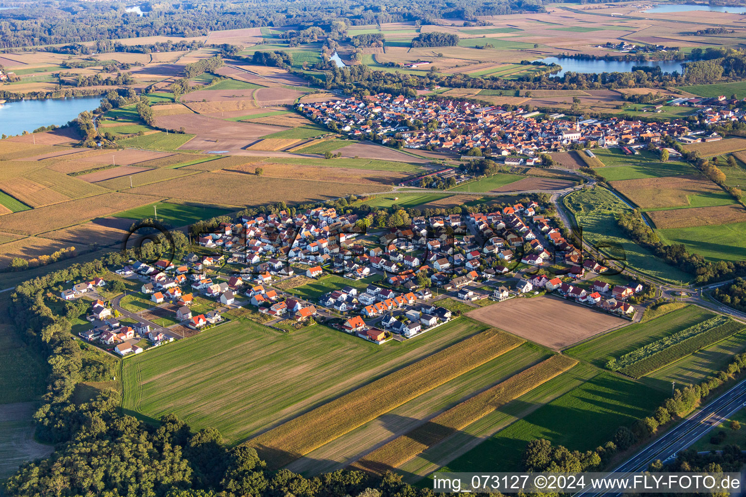 Vue aérienne de Quartier Hardtwald in Neupotz dans le département Rhénanie-Palatinat, Allemagne