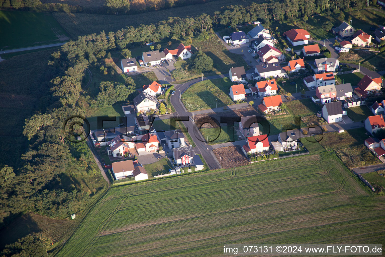 Vue aérienne de Bague fleur à le quartier Hardtwald in Neupotz dans le département Rhénanie-Palatinat, Allemagne