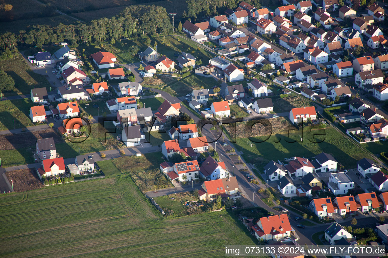 Vue aérienne de Bague fleur à le quartier Hardtwald in Neupotz dans le département Rhénanie-Palatinat, Allemagne