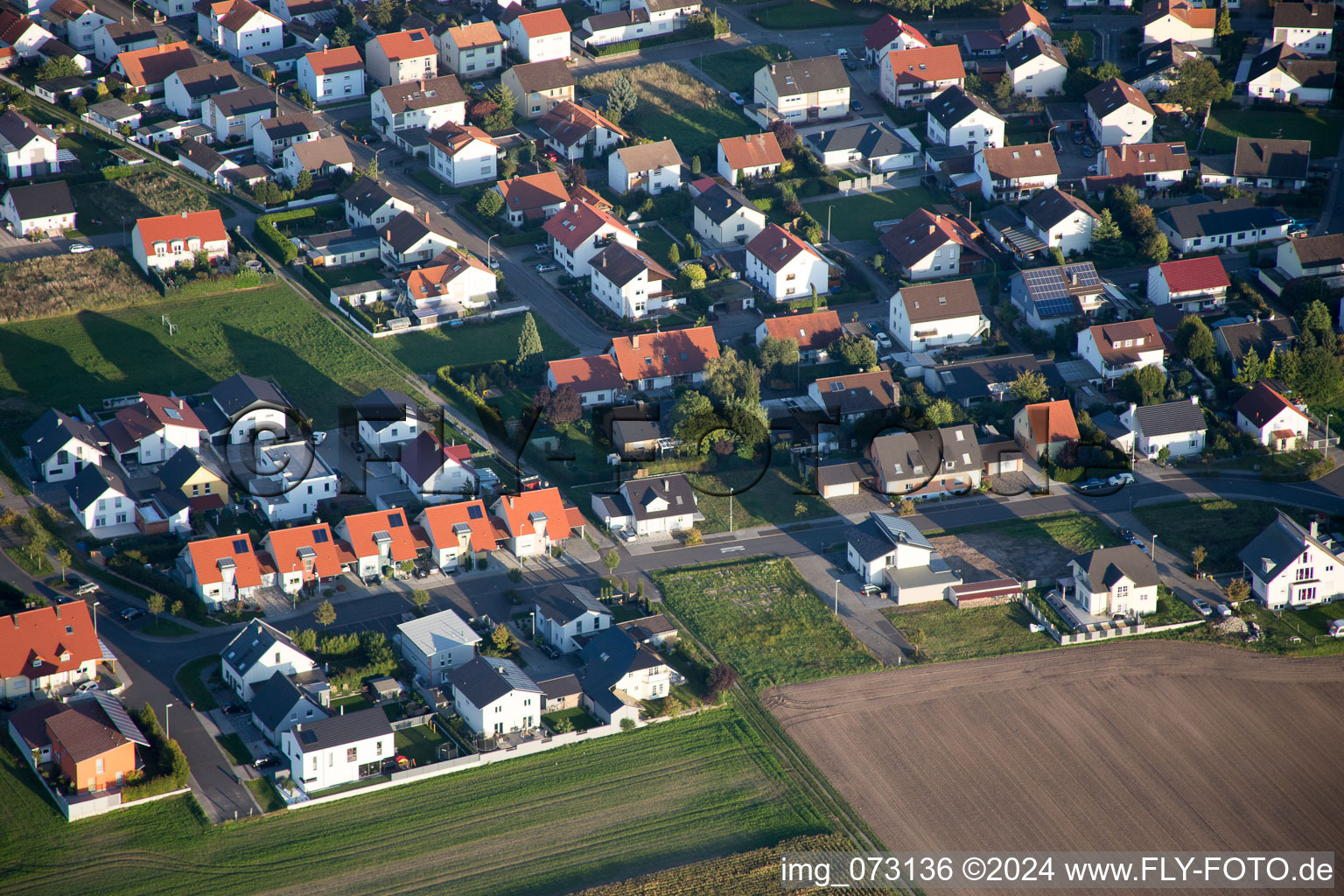 Vue oblique de Bague fleur à le quartier Hardtwald in Neupotz dans le département Rhénanie-Palatinat, Allemagne