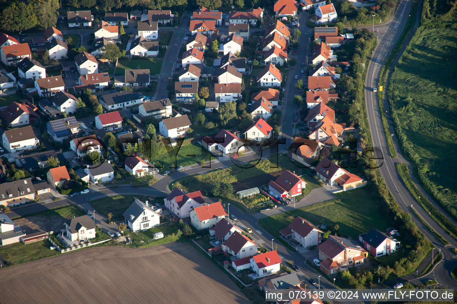 Quartier Hardtwald in Neupotz dans le département Rhénanie-Palatinat, Allemagne d'en haut