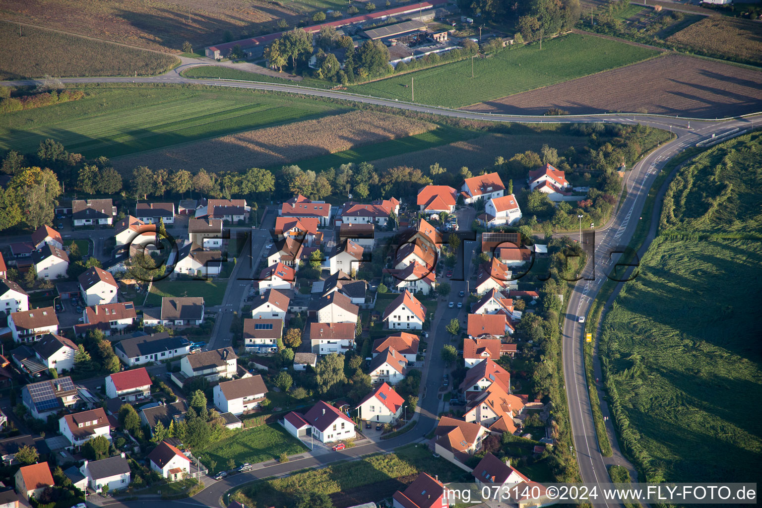 Quartier Hardtwald in Neupotz dans le département Rhénanie-Palatinat, Allemagne hors des airs