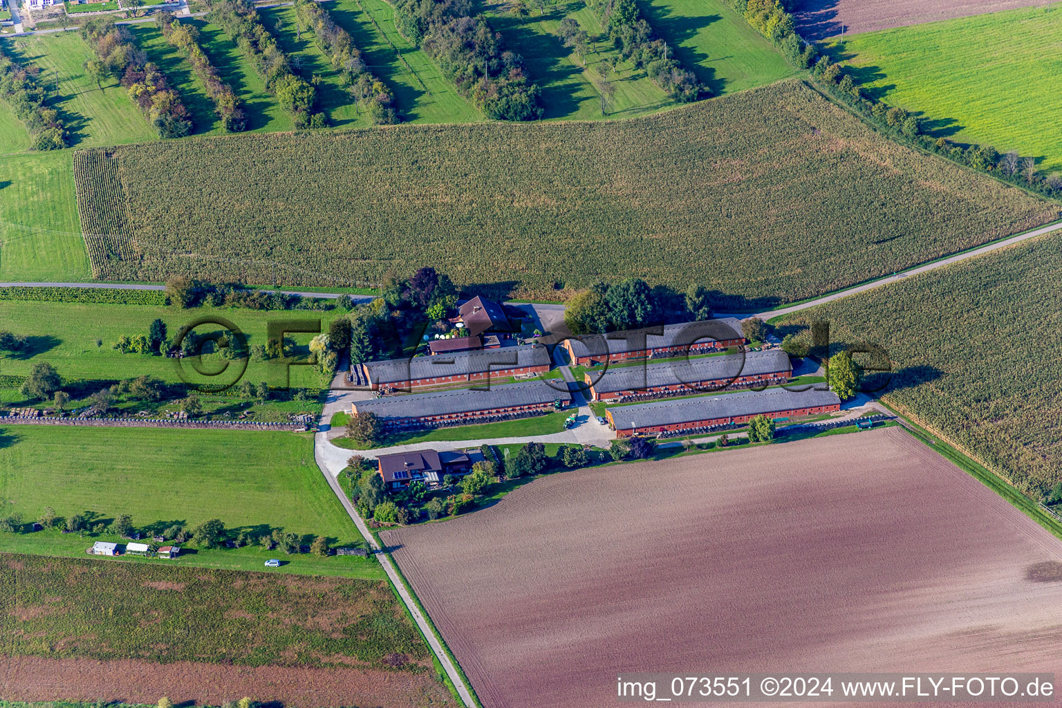 Vue aérienne de Établissement de bovins laitiers et écuries d'élevage avec des vaches de Thomas Lauer à Wiesloch dans le département Bade-Wurtemberg, Allemagne