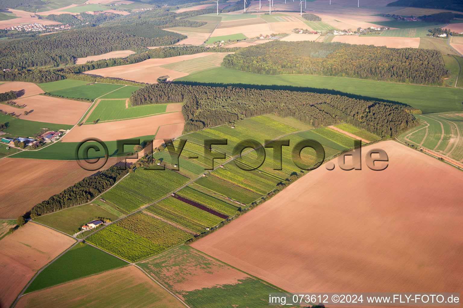 Photographie aérienne de Reicholzheim dans le département Bade-Wurtemberg, Allemagne