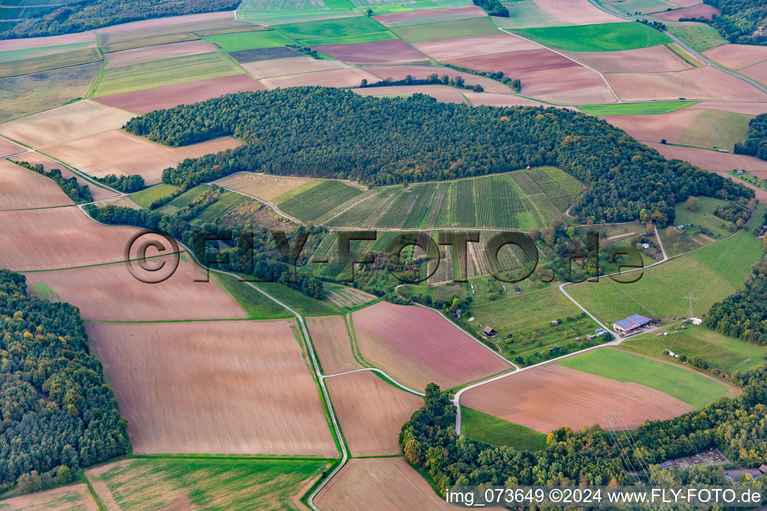 Vue aérienne de Vignoble à le quartier Dertingen in Wertheim dans le département Bade-Wurtemberg, Allemagne