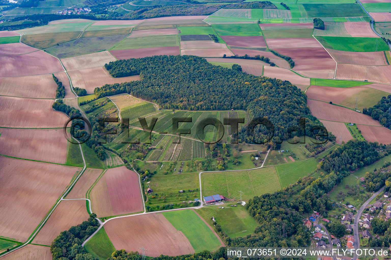 Photographie aérienne de Quartier Dertingen in Wertheim dans le département Bade-Wurtemberg, Allemagne