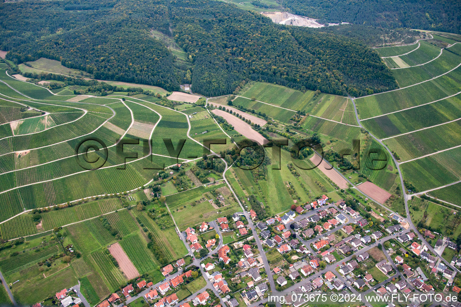 Vue aérienne de Thüngersheim dans le département Bavière, Allemagne