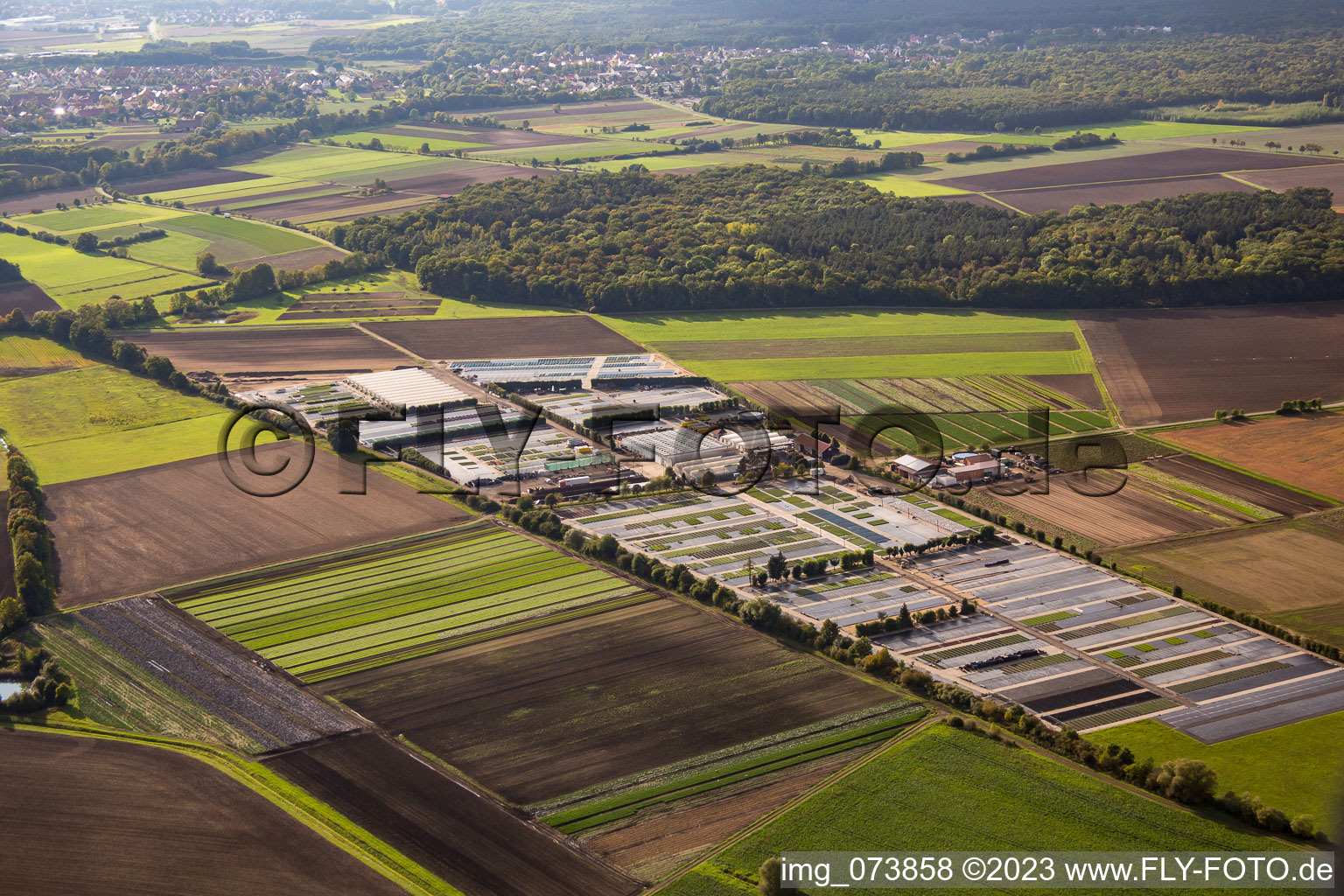 Vue aérienne de Crèche Dieter Denze à Gochsheim dans le département Bavière, Allemagne