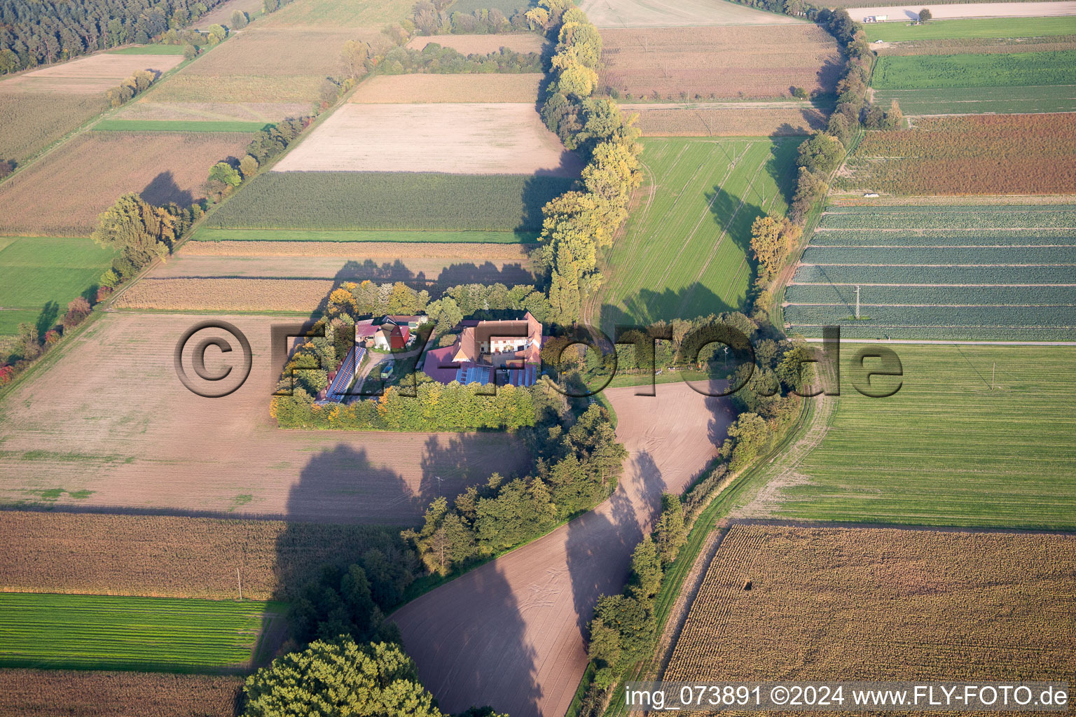 Vue aérienne de Leistenmühle depuis l'ouest à Erlenbach bei Kandel dans le département Rhénanie-Palatinat, Allemagne