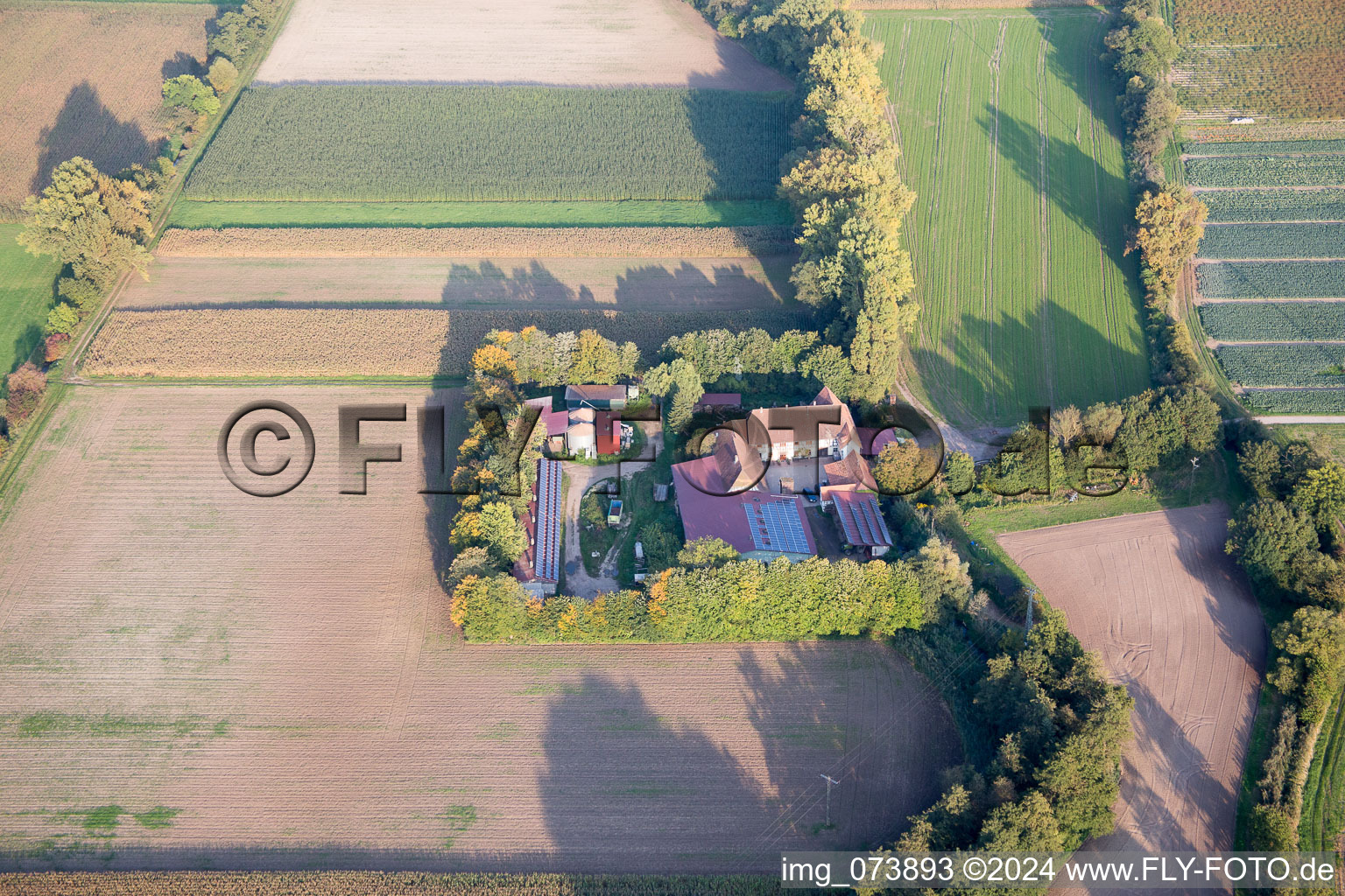 Vue aérienne de Leistenmühle du nord-ouest à Erlenbach bei Kandel dans le département Rhénanie-Palatinat, Allemagne