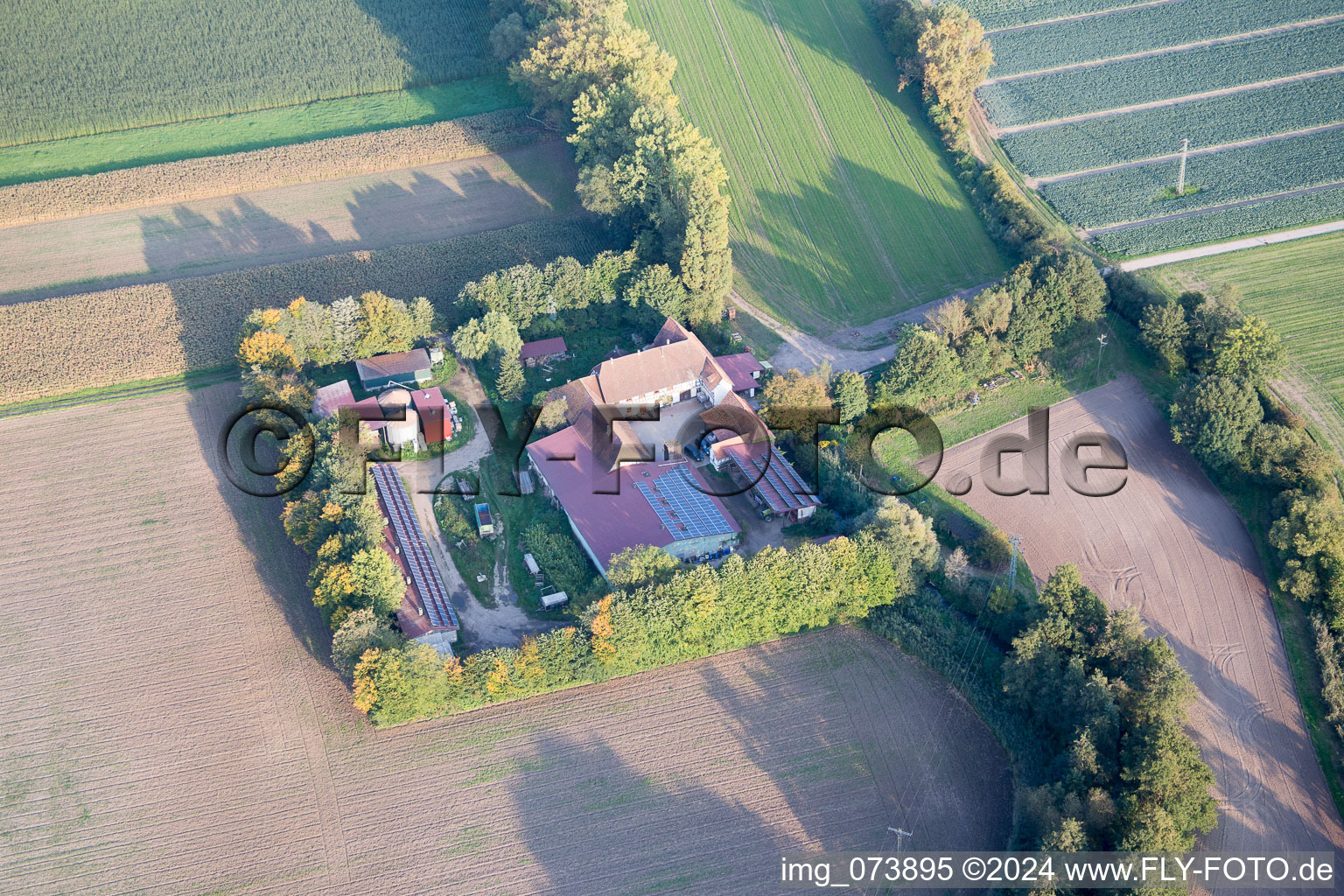 Vue aérienne de Leistenmühle du nord-ouest à Erlenbach bei Kandel dans le département Rhénanie-Palatinat, Allemagne