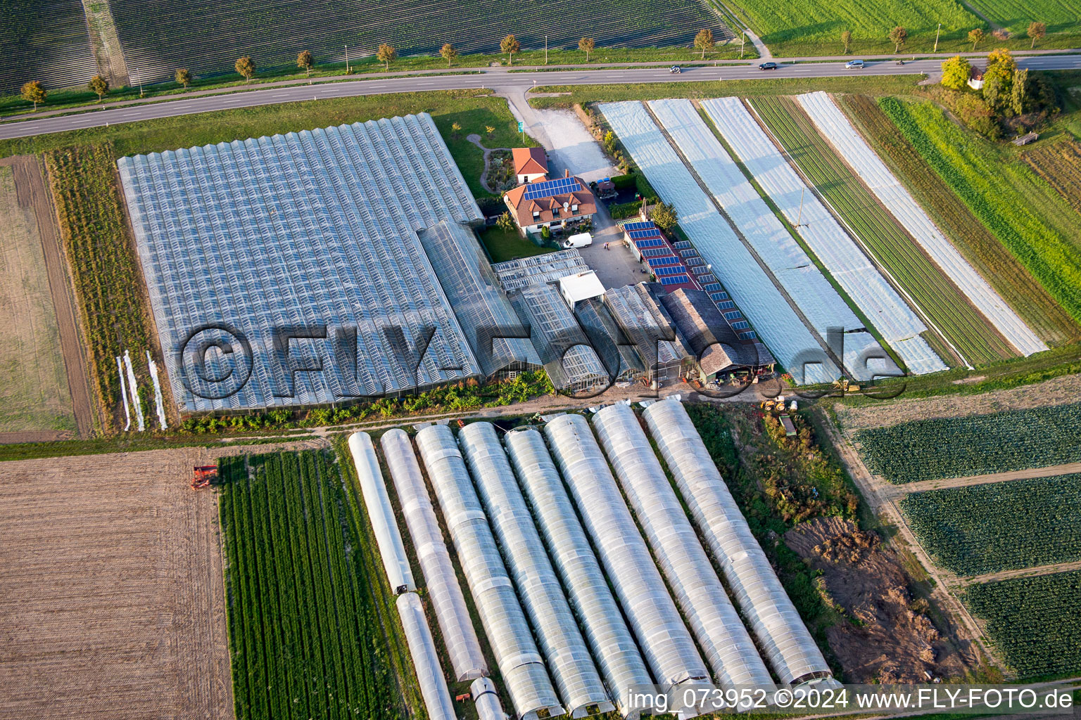 Vue aérienne de Magasin à la ferme avec rangées de serres pour la culture de légumes à Herxheim près de Landau (Palatinat) à le quartier Herxheim in Herxheim bei Landau/Pfalz dans le département Rhénanie-Palatinat, Allemagne