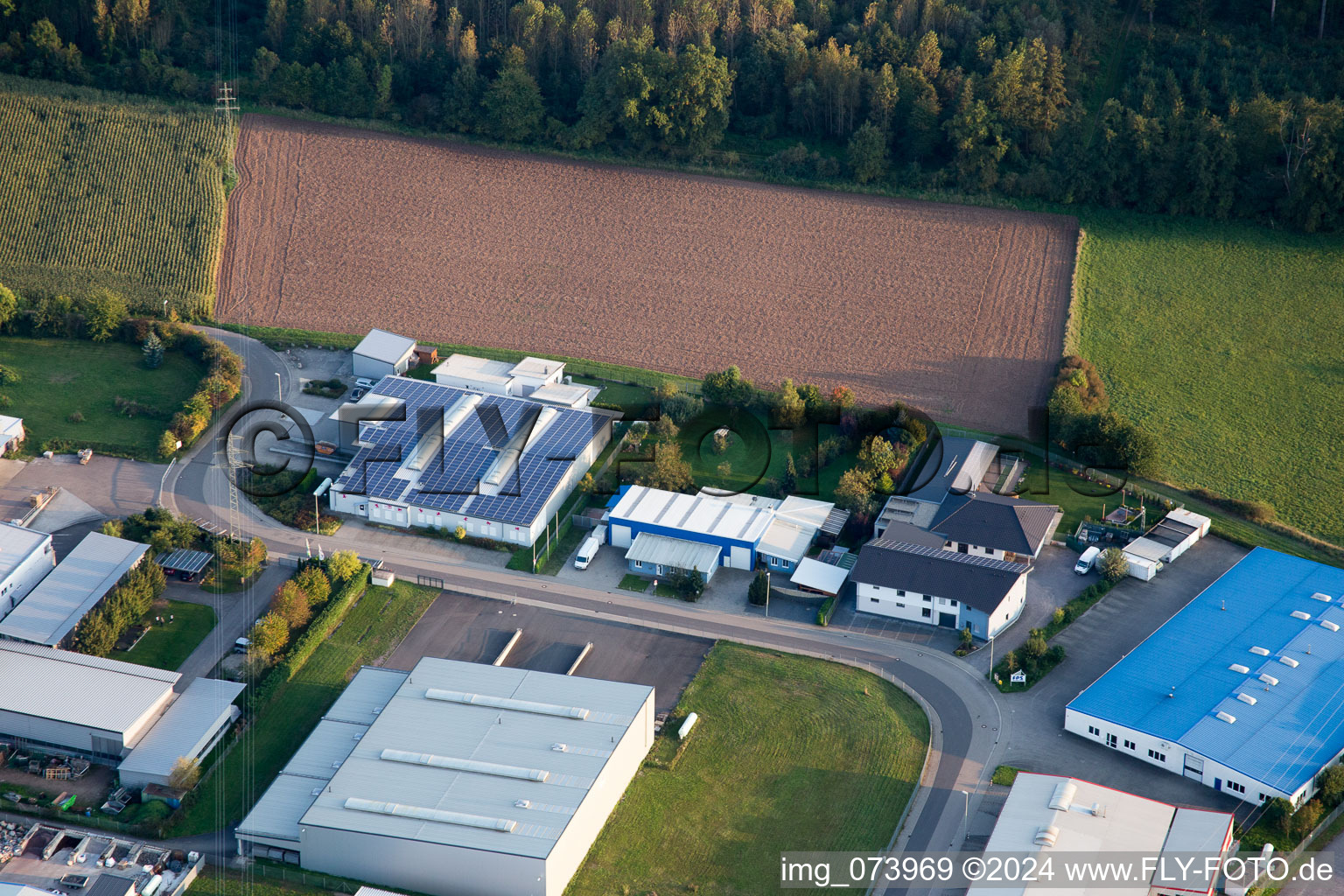 Vue d'oiseau de Rohrbach dans le département Rhénanie-Palatinat, Allemagne