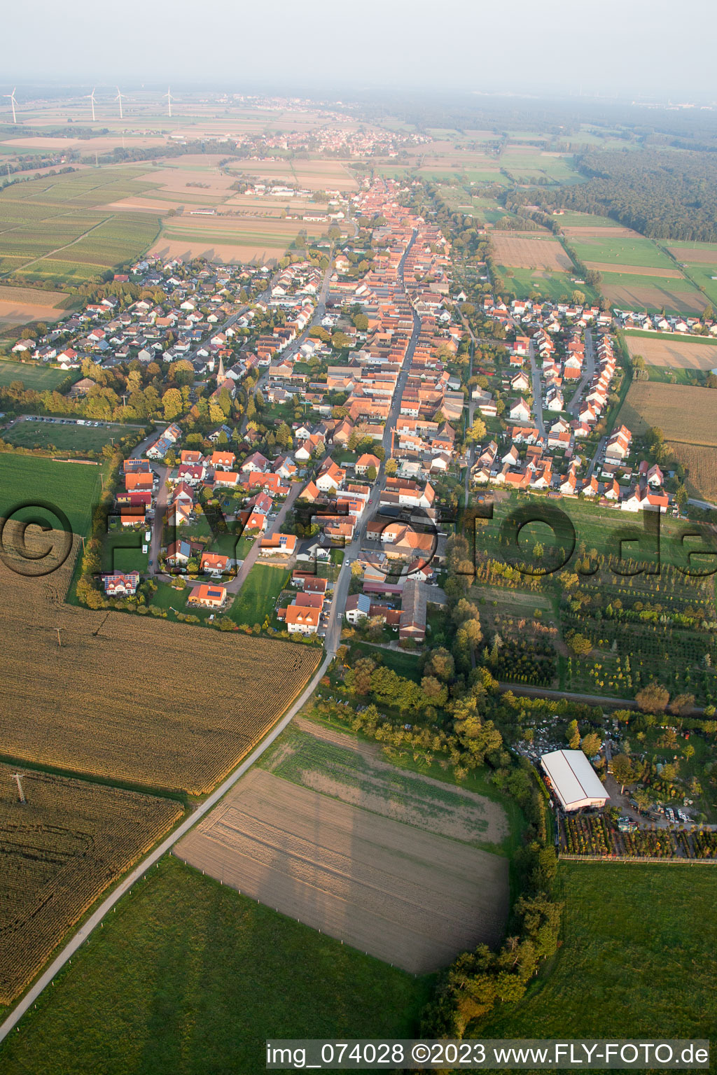 Freckenfeld dans le département Rhénanie-Palatinat, Allemagne depuis l'avion