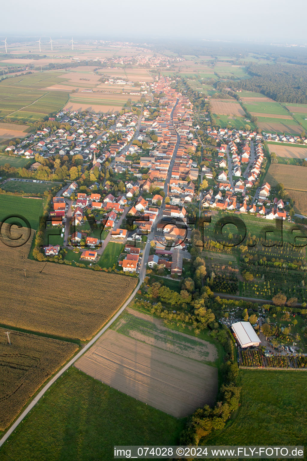 Freckenfeld dans le département Rhénanie-Palatinat, Allemagne depuis l'avion