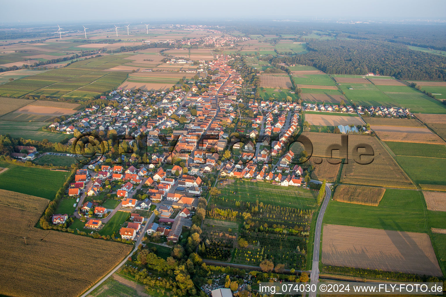 Vue aérienne de De l'ouest à Freckenfeld dans le département Rhénanie-Palatinat, Allemagne