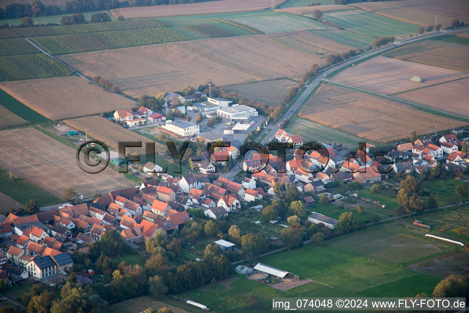 Vue aérienne de Gänsried à Freckenfeld dans le département Rhénanie-Palatinat, Allemagne