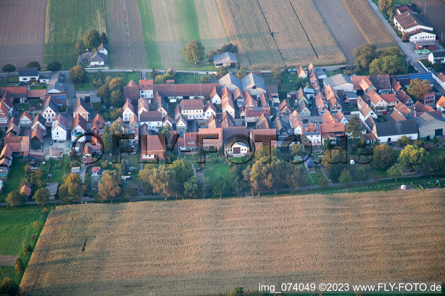 Vue aérienne de Gänsried à Freckenfeld dans le département Rhénanie-Palatinat, Allemagne