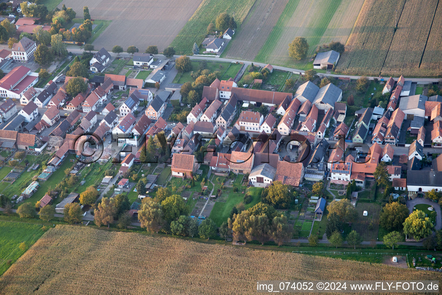 Vue oblique de Gänsried à Freckenfeld dans le département Rhénanie-Palatinat, Allemagne