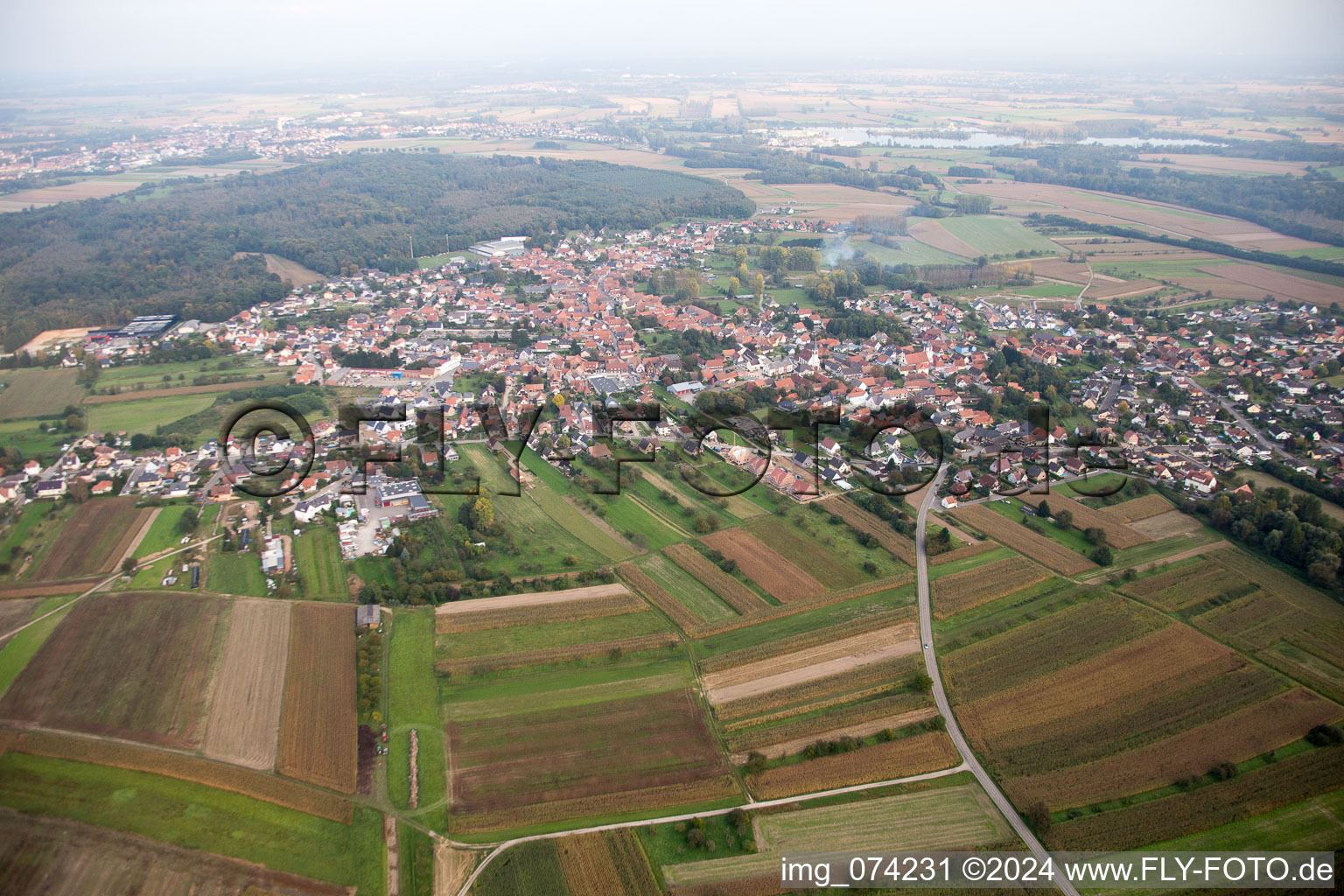 Vue aérienne de Champs agricoles et surfaces utilisables à Gries dans le département Bas Rhin, France