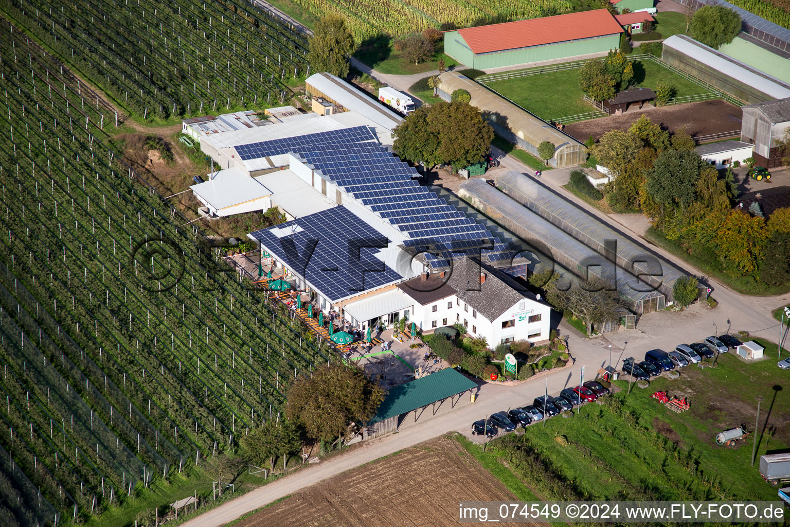 Kandel dans le département Rhénanie-Palatinat, Allemagne vue du ciel