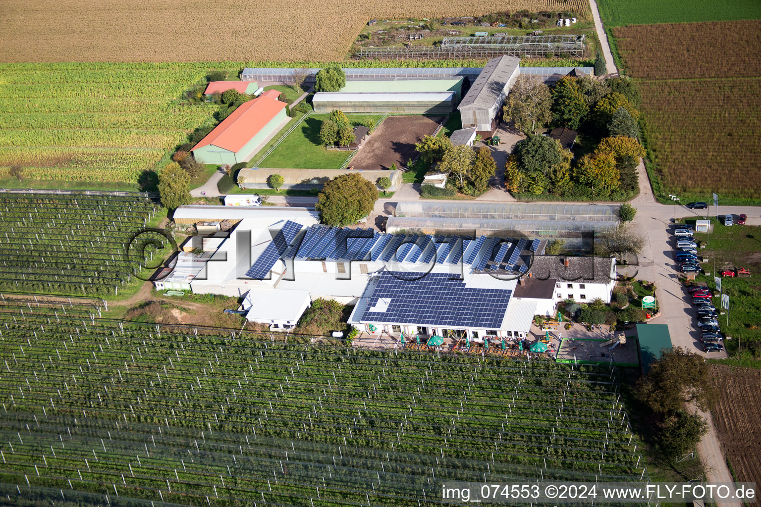 Kandel dans le département Rhénanie-Palatinat, Allemagne du point de vue du drone