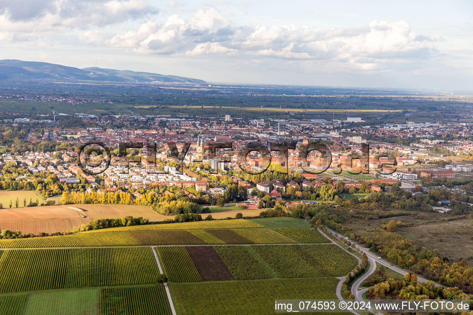 Vue aérienne de Vue des rues et des maisons des quartiers résidentiels à Landau in der Pfalz dans le département Rhénanie-Palatinat, Allemagne