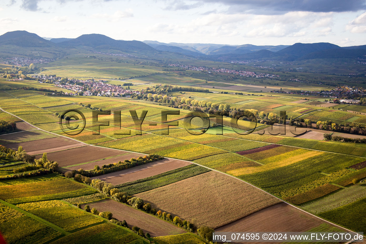 Vue aérienne de Quartier Mörzheim in Landau in der Pfalz dans le département Rhénanie-Palatinat, Allemagne